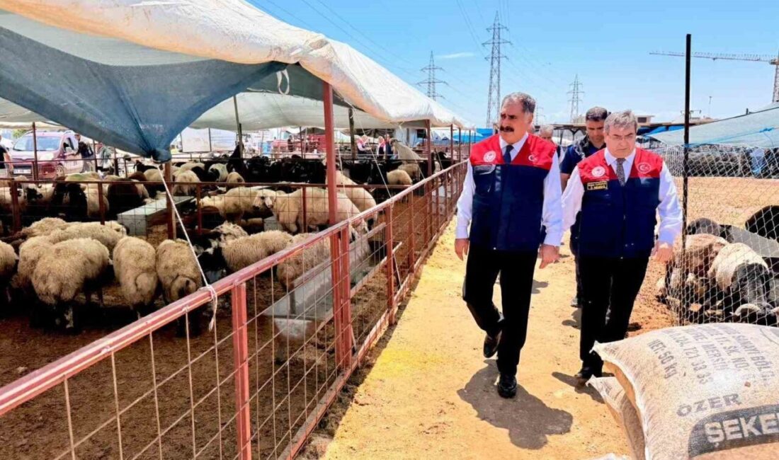 Mersin’de Kurban Bayramı öncesi vatandaşların güvenli, huzurlu ve hijyenik ortamda