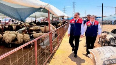 Mersin’de Kurban Bayramı öncesi vatandaşların güvenli, huzurlu ve hijyenik ortamda