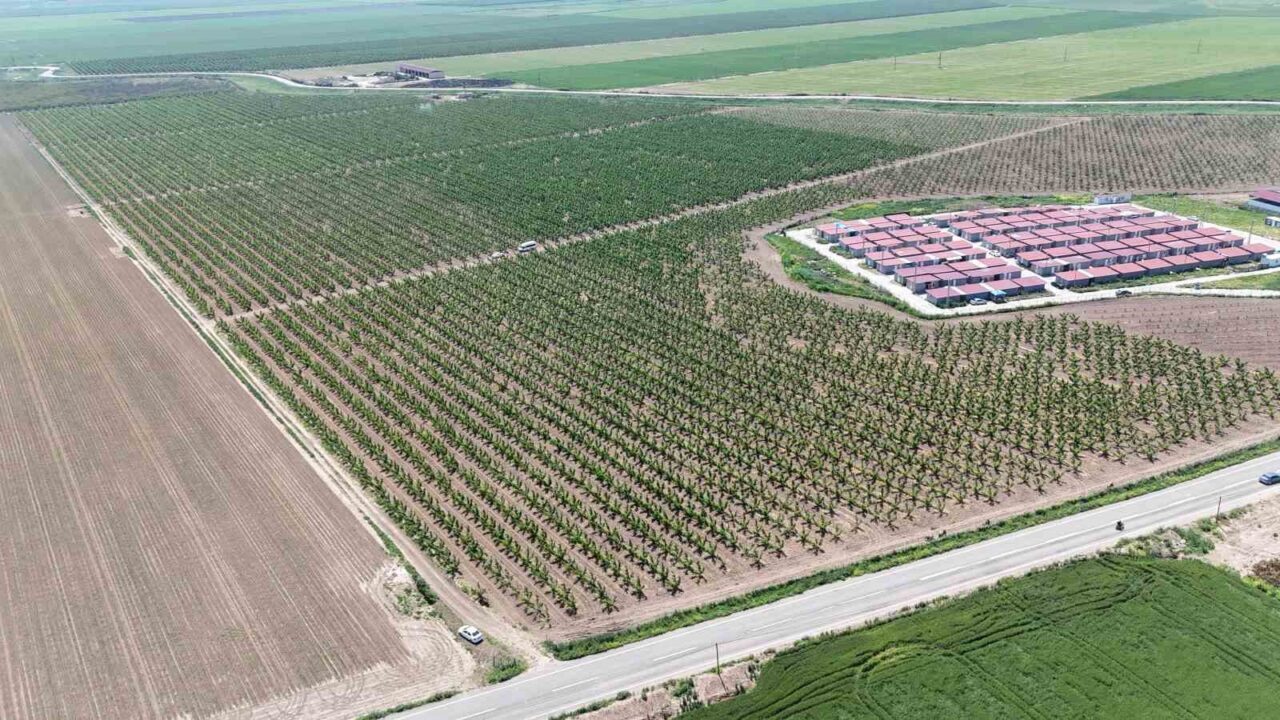 Hatay’da tarımsal faaliyetlerin başlamasıyla işçilerin zorlu mesaisi de başladı. Zorlu