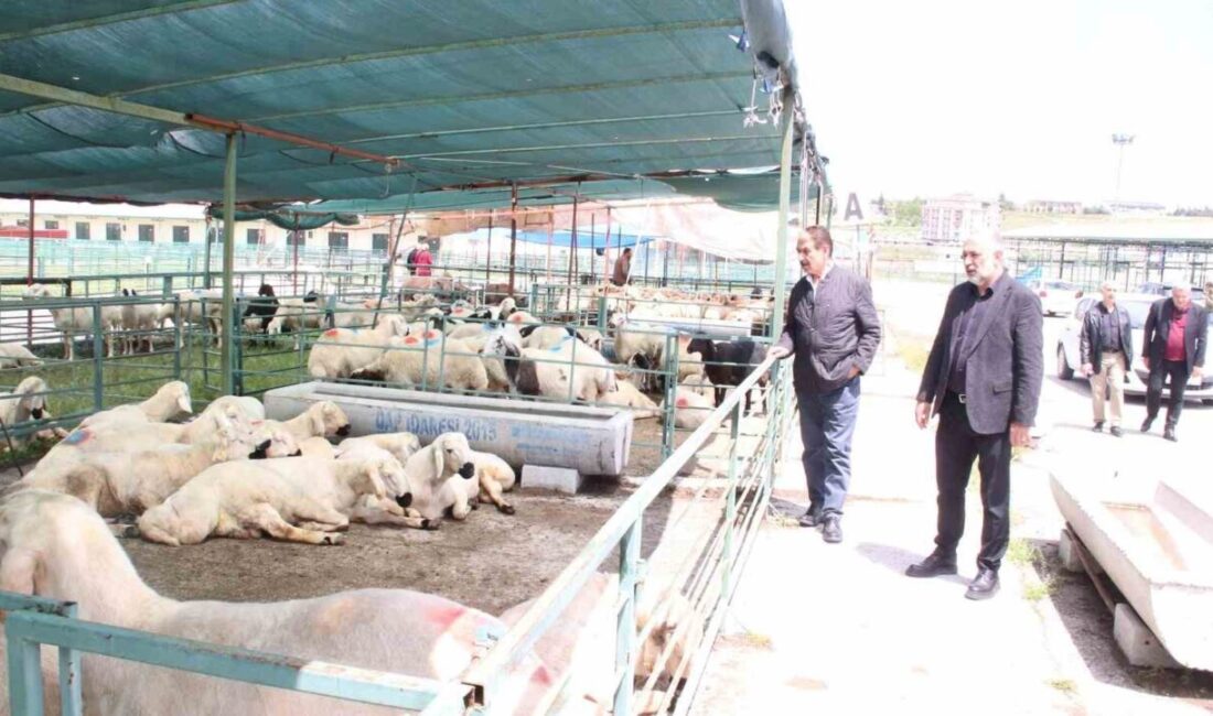 Malatya Esnaf ve Sanatkârlar Odaları Birliği Başkanı Keskin, Canlı Hayvan