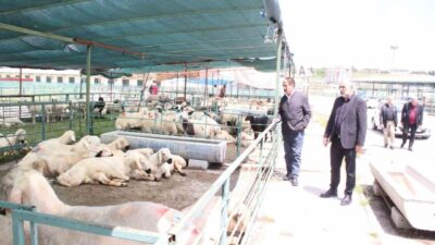 Malatya Esnaf ve Sanatkârlar Odaları Birliği Başkanı Keskin, Canlı Hayvan