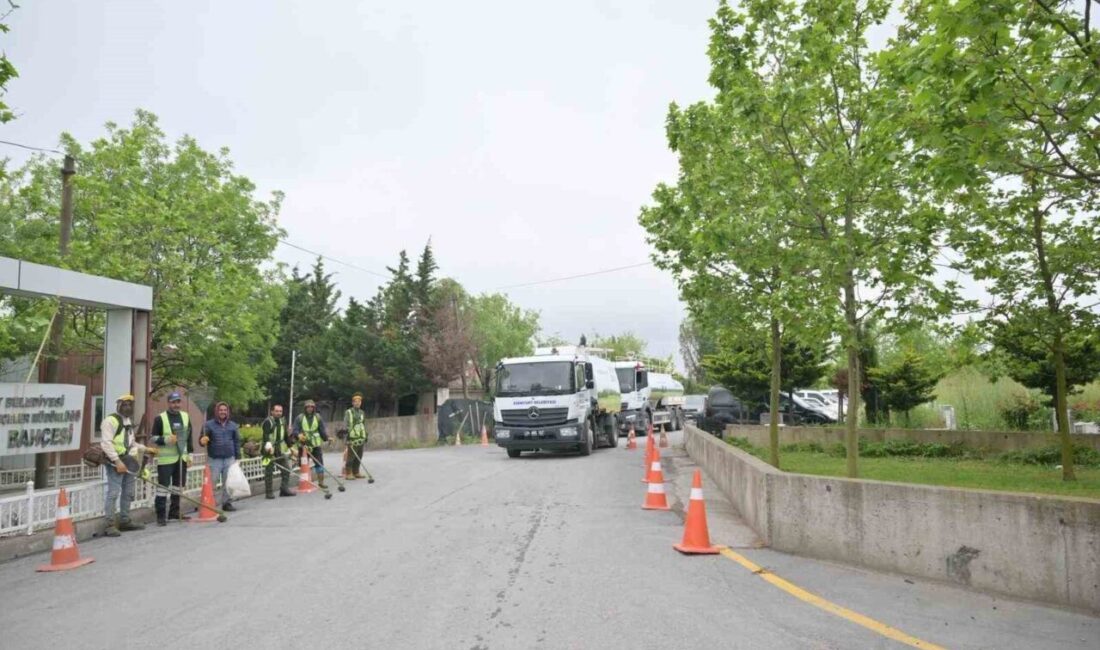 Esenyurt Belediyesi ekipleri, ot biçme ve genel temizlik çalışmaları yapmak