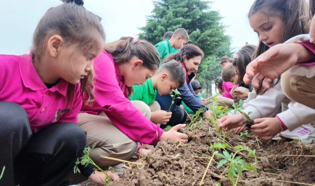 Düzce İl Tarım ve Orman Müdürlüğü koordinasyonunda, Düzce Belediyesi Tarım