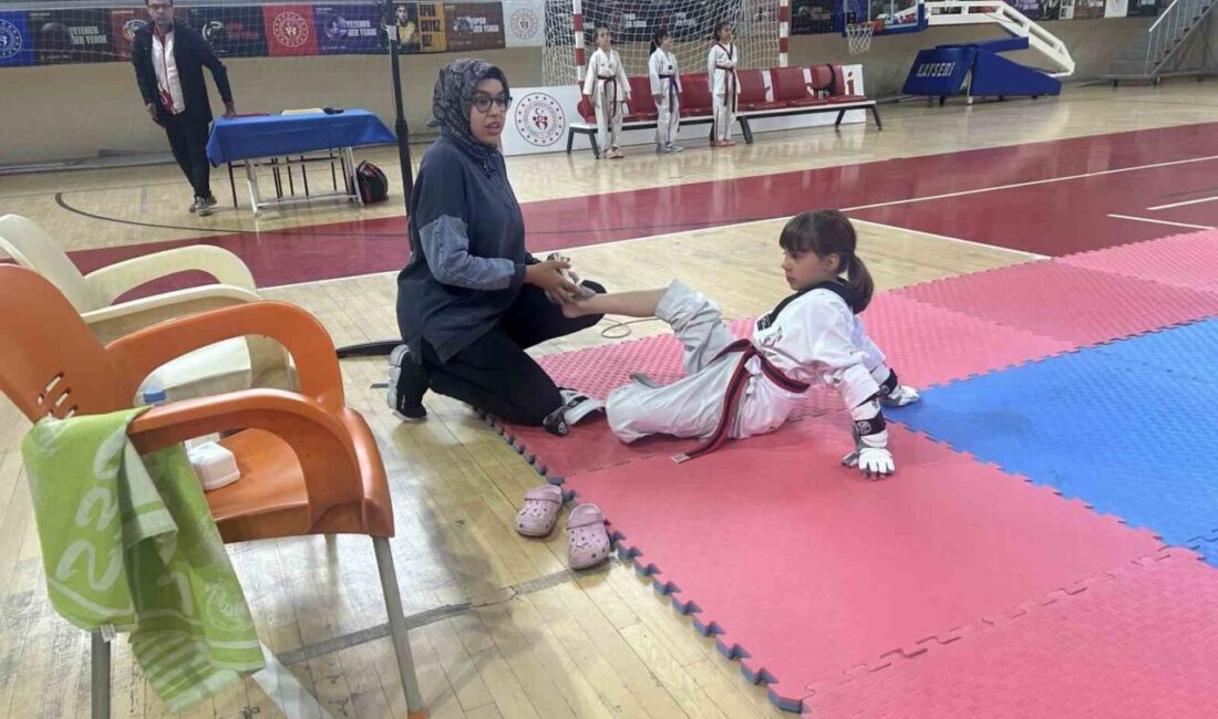 Kayseri’de Okul sporları Minikler Taekwondo İl Müsabakaları gerçekleştirildi. Taekwondo il