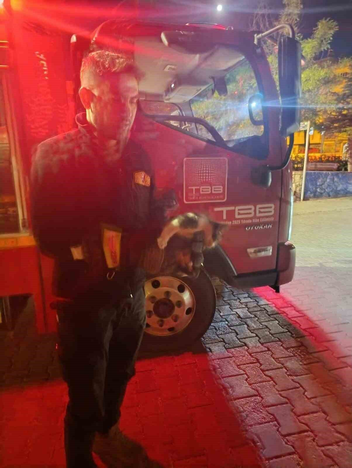 Adıyaman’ın Besni ilçesinde bir aracın motor bölümüne sıkışan kedi, itfaiye