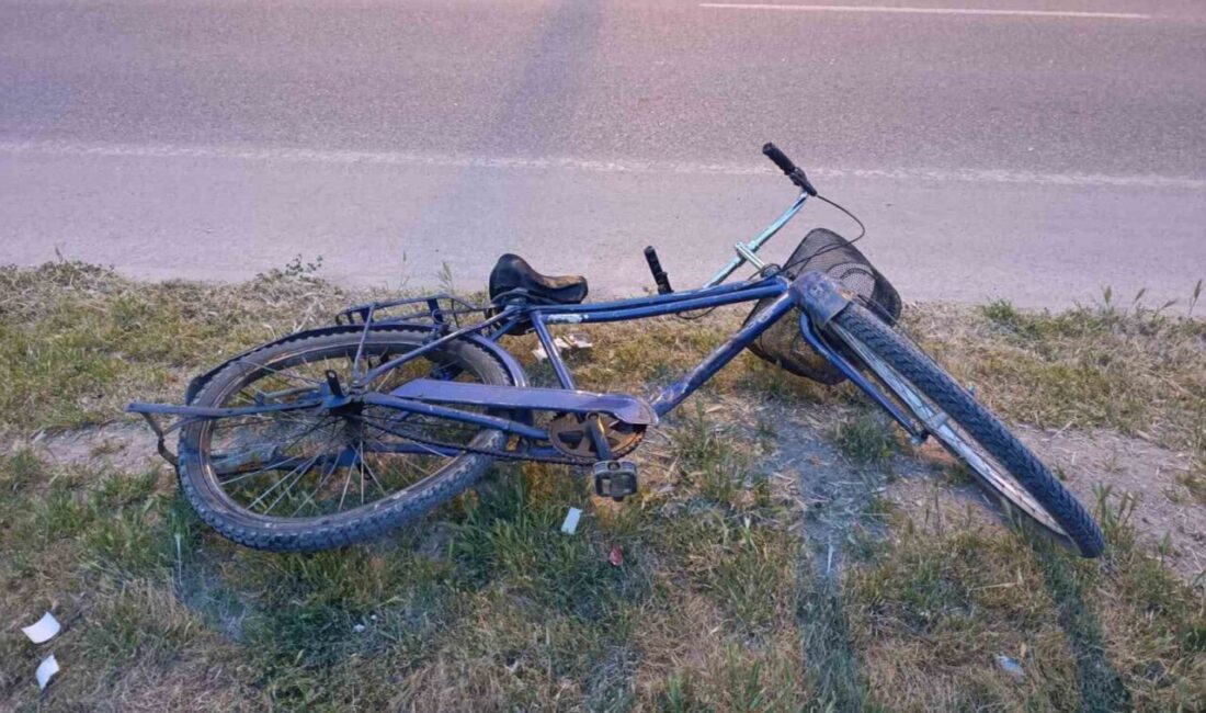 Adıyaman’da motosikletle bisikletin çarpışması sonucu 2 kişi yaralandı. Edinilen bilgiye