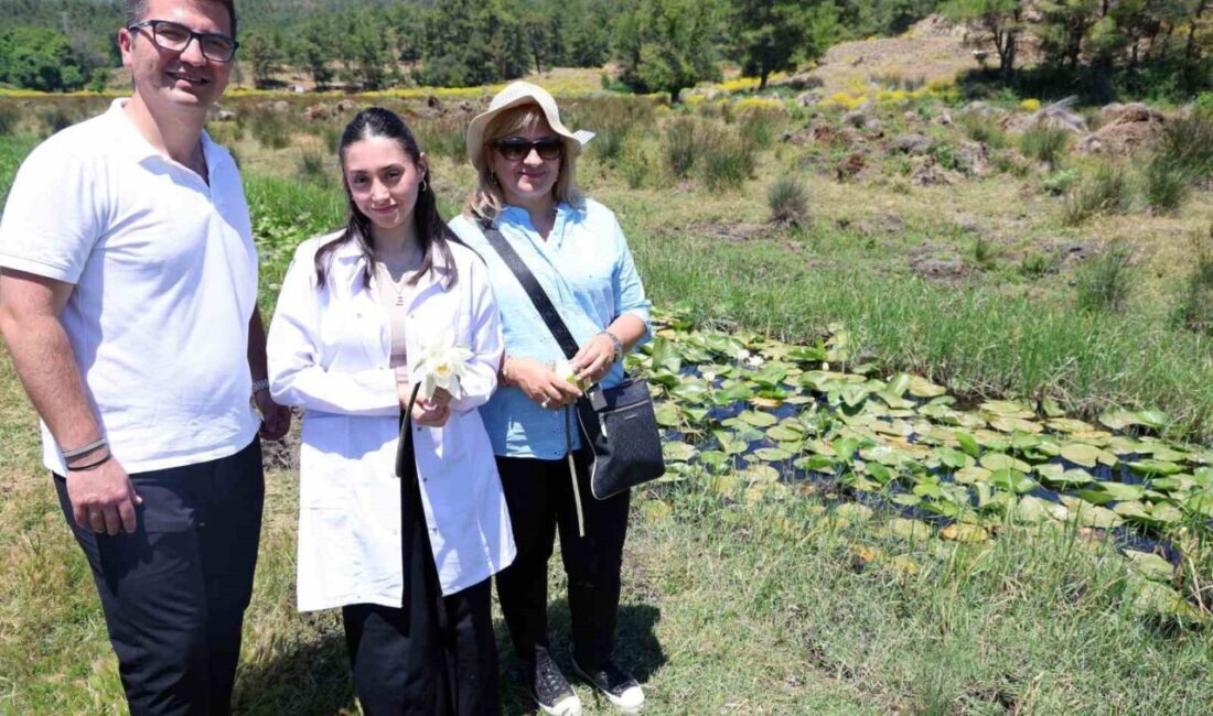 Muğla Sıtkı Koçman Üniversitesi (MSKÜ) Fen Fakültesi Kimya Bölümü, uluslararası