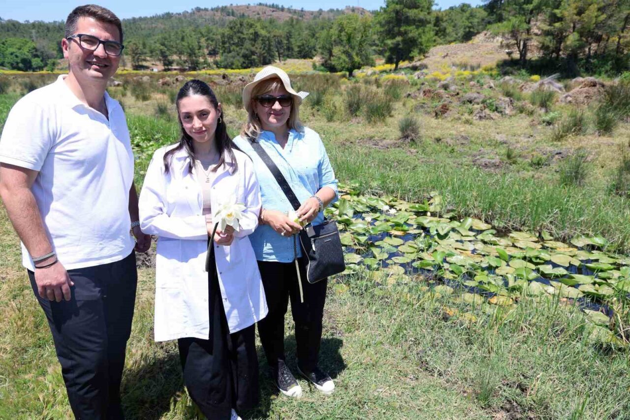 Muğla Sıtkı Koçman Üniversitesi (MSKÜ) Fen Fakültesi Kimya Bölümü, uluslararası