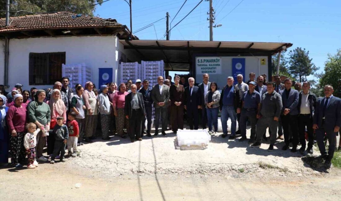 Köyceğiz ilçesine bağlı Pınarköy, Sazak, Beyobası, Çandır ve Akköprü mahallelerinde
