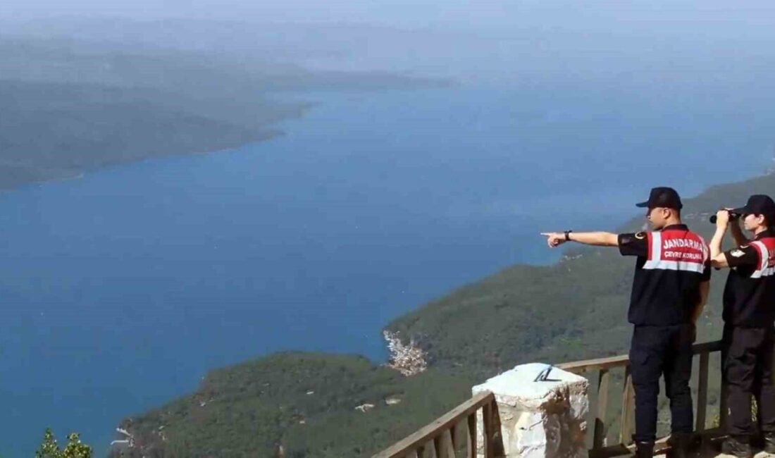 Muğla Valiliği, yaz aylarında artan orman yangını riskine karşı 1
