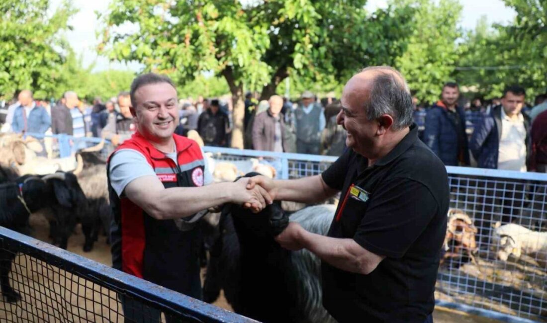 Kurban Bayramı yaklaşırken Muğla genelinde kurbanlık satış alanlarındaki denetimler ve