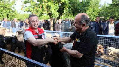 Kurban Bayramı yaklaşırken Muğla genelinde kurbanlık satış alanlarındaki denetimler ve