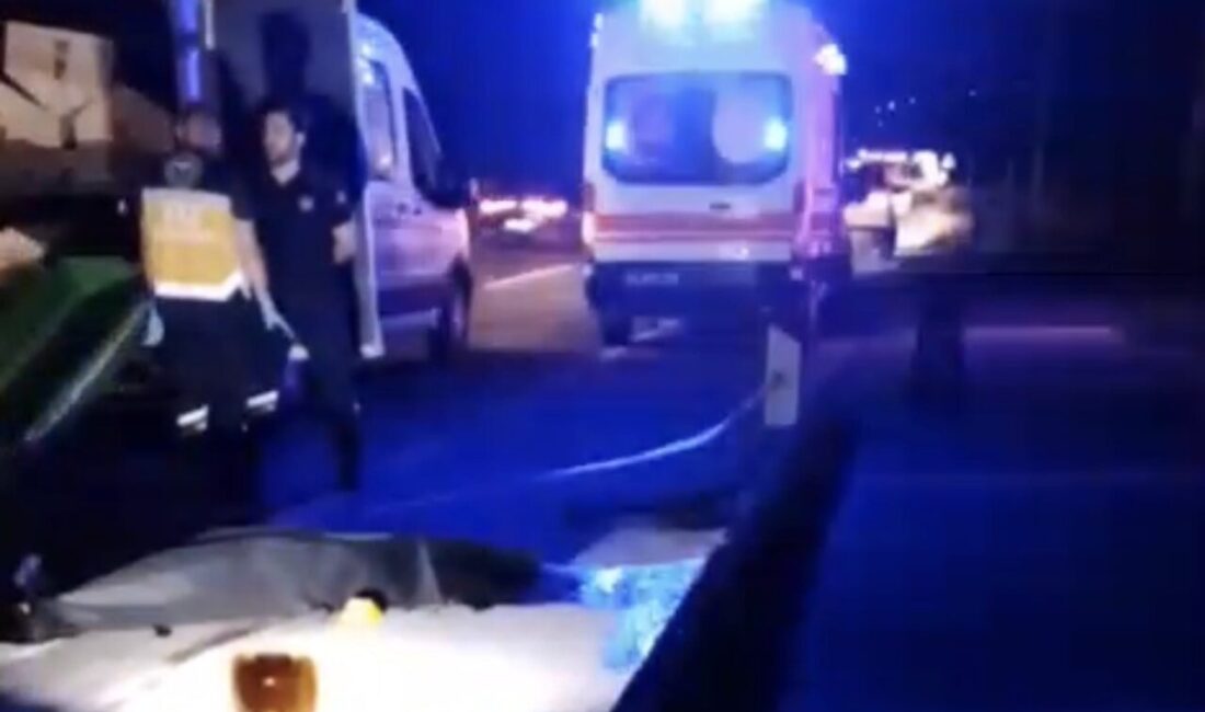 Muğla’nın Bodrum ile Milas ilçeleri arasındaki karayolunda meydana gelen trafik