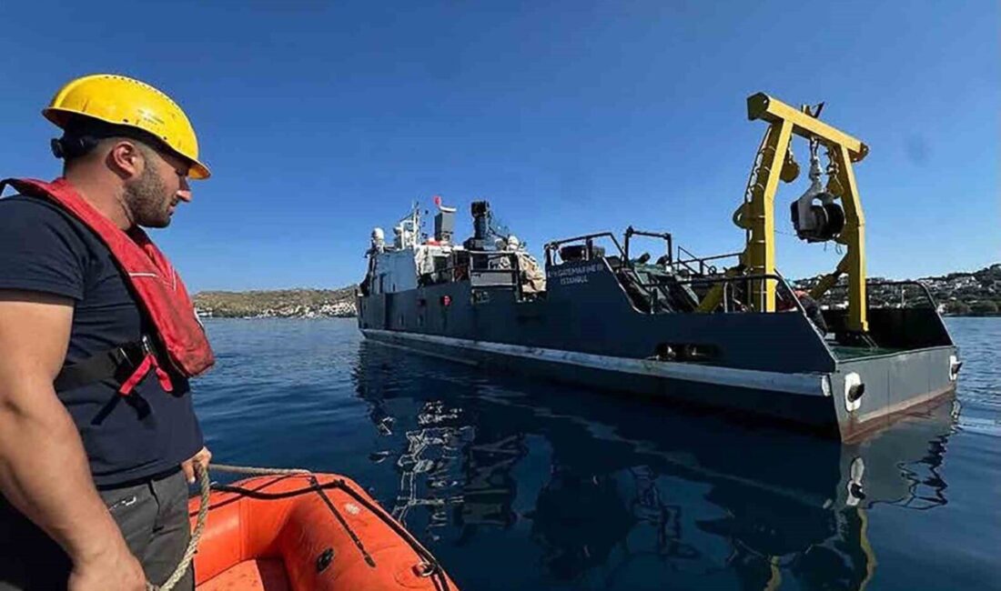 Muğla’da Deniz çayırları bilimsel yöntemlerle tespit edilip korunacak, Bodrum ve