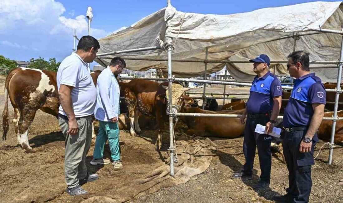 Muratpaşa Belediyesi, Kurban Bayramı öncesinde ilçe genelinde 6 ayrı kurban