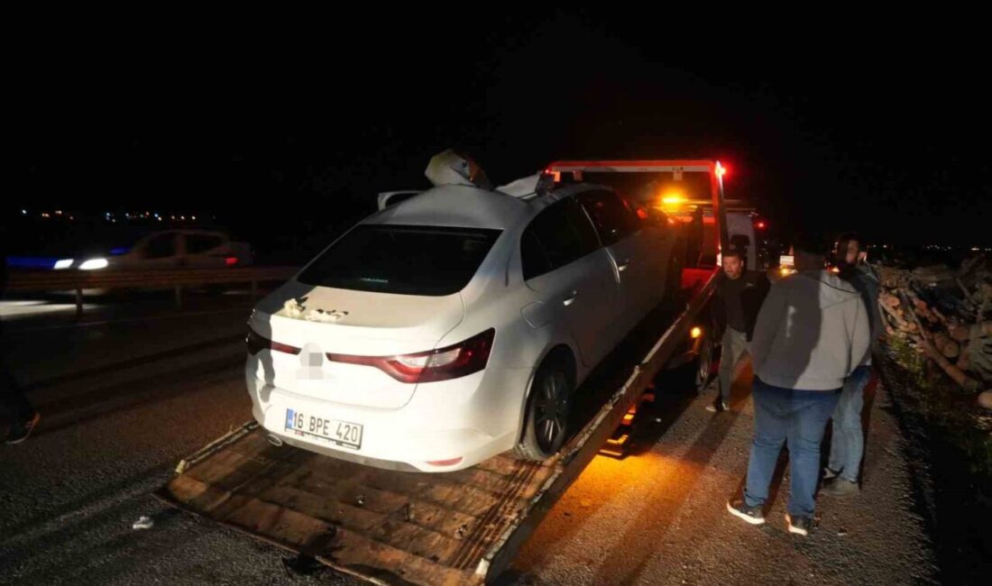 Muş-Bingöl kara yolunda seyir halindeki otomobilin aniden yola çıkan ata