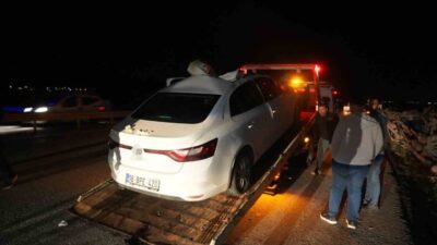 Muş-Bingöl kara yolunda seyir halindeki otomobilin aniden yola çıkan ata