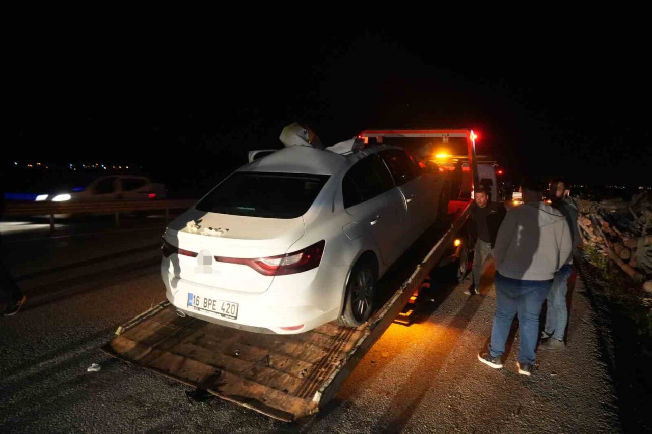 Muş-Bingöl kara yolunda seyir halindeki otomobilin aniden yola çıkan ata