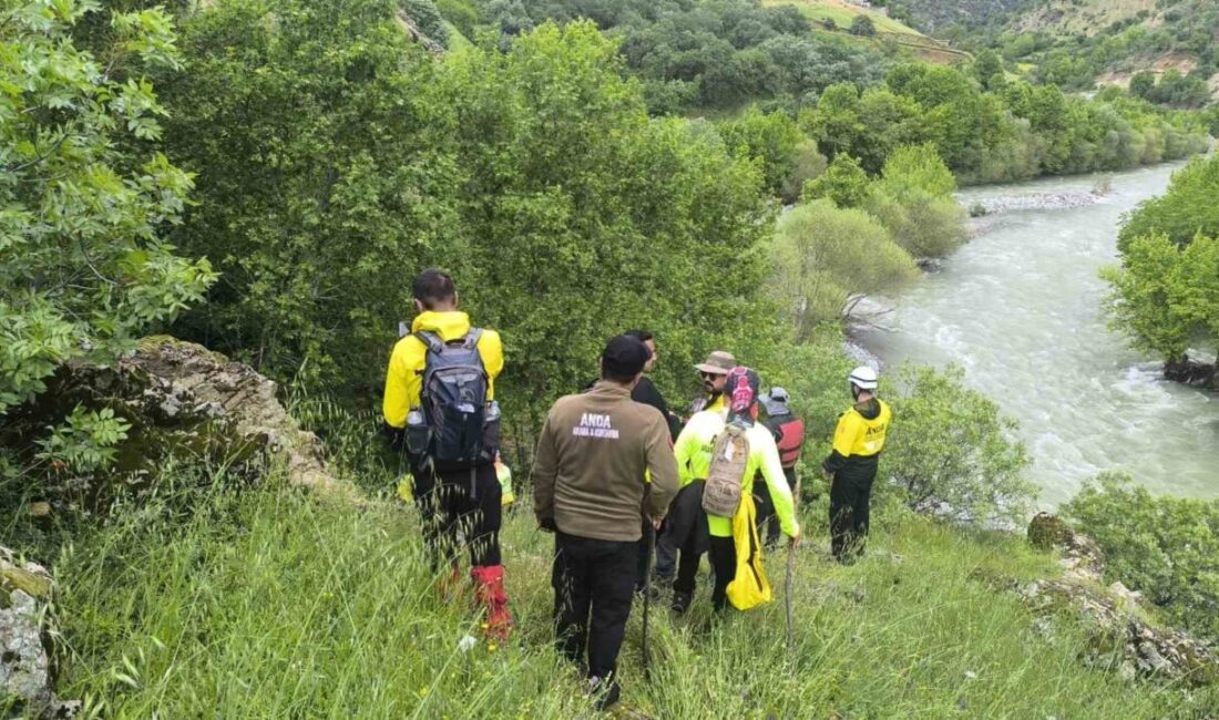 Muş’ta köprüden geçerken dengesini kaybedip çaya düşen 50 yaşındaki Gülsima