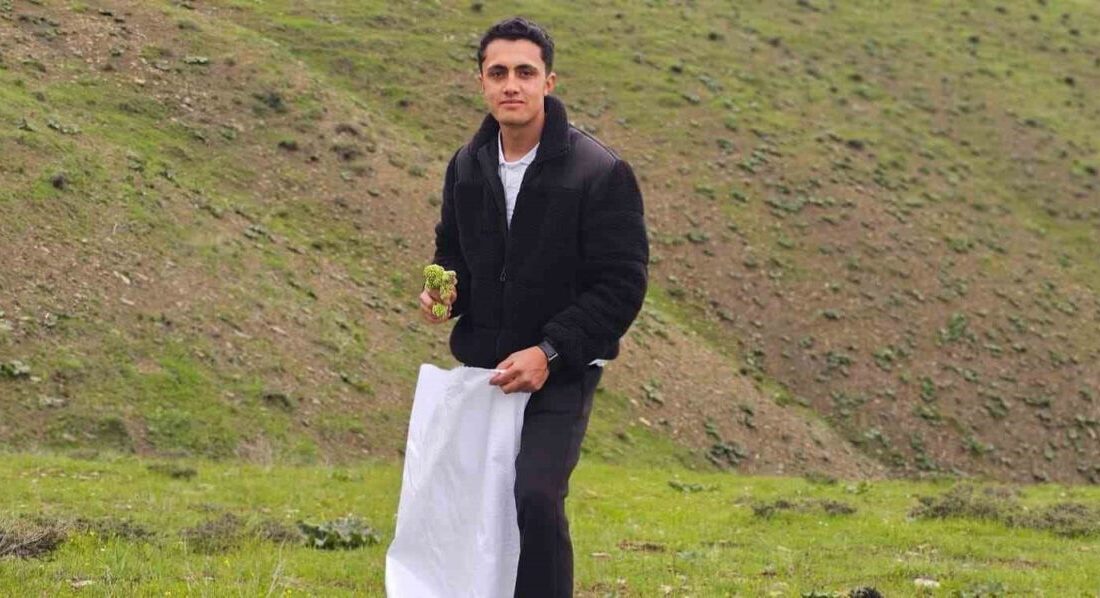 Muş’un Hasköy ilçesinde yaşayan vatandaşlar, bölgede “yayla muzu” olarak bilinen