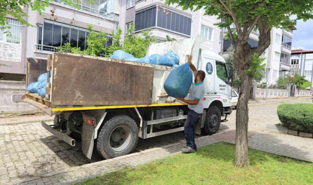 Aydın’ın Nazilli ilçesinde belediye ekipleri, park bakımı ve yol onarımlarını