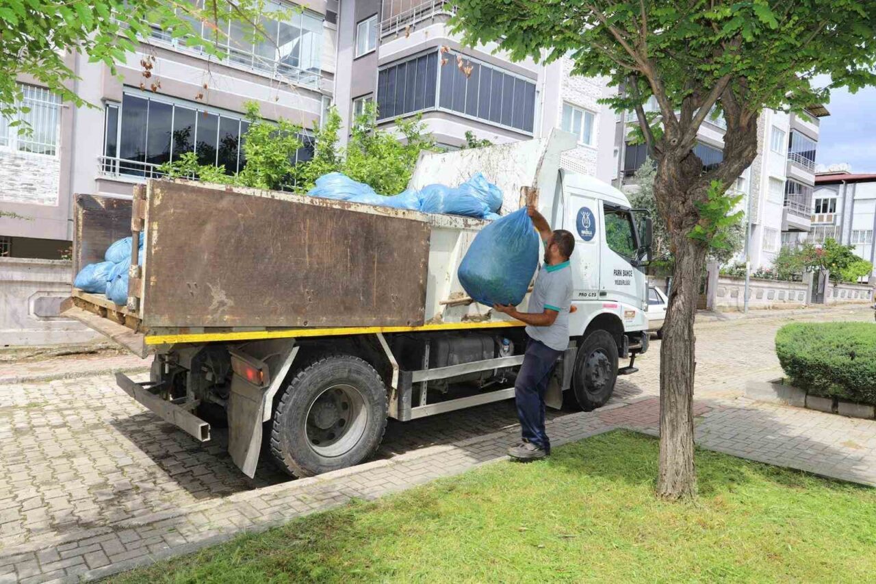 Aydın’ın Nazilli ilçesinde belediye ekipleri, park bakımı ve yol onarımlarını