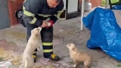 Niğde’de Koyunlu Barajı’ndan taşan su nedeniyle bahçe içindeki bir evde
