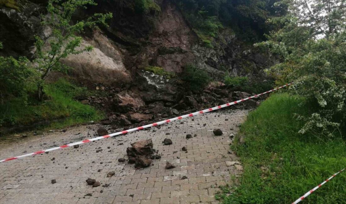 Tokat’ın Niksar ilçesinde etkili olan sağanak yağış sonrası yamaçtan kopan