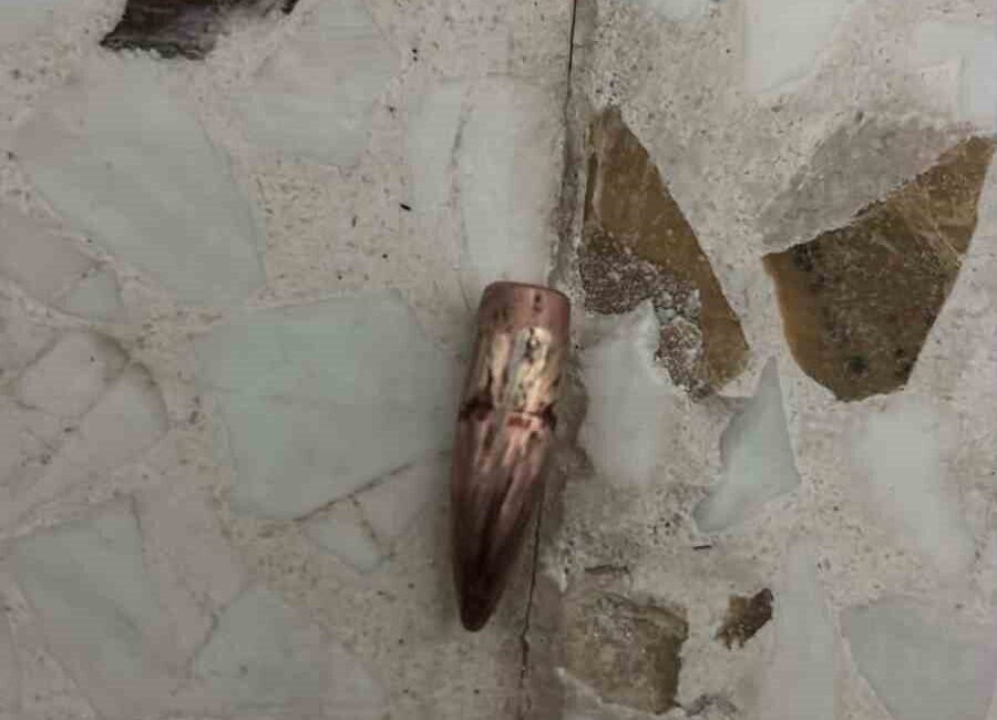 Mardin’in Nusaybin ilçesinde Suriye sınırında yükselen silah sesleri sonrası bazı