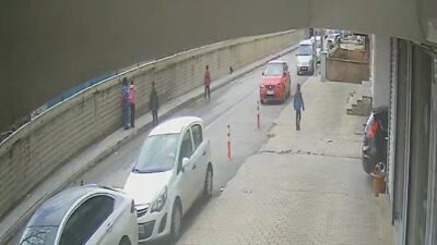Bitlis’in Tatvan ilçesinde ağaçtan düşen yavru kuşu ezilmemesi için yoldan