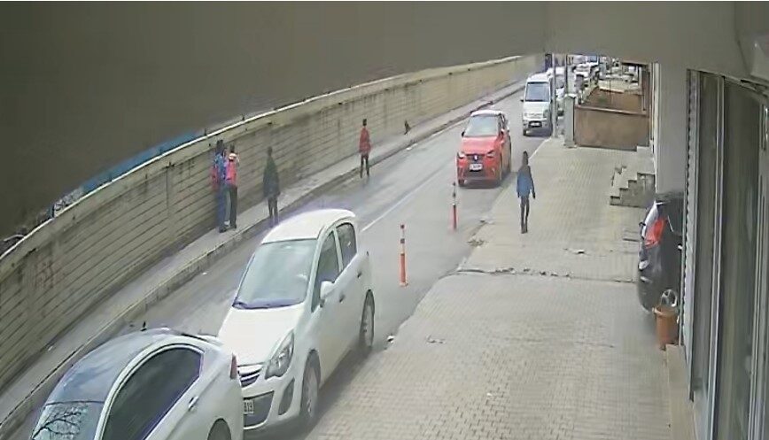 Bitlis’in Tatvan ilçesinde ağaçtan düşen yavru kuşu ezilmemesi için yoldan
