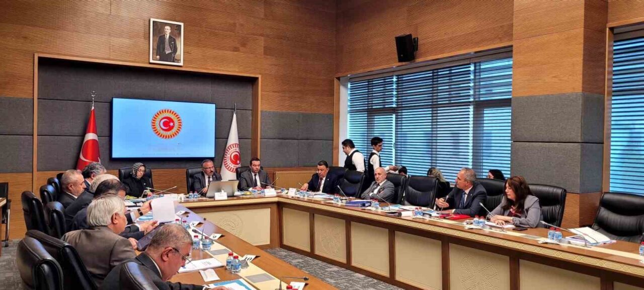 TBMM Şanlıurfa ile Kahramanmaraş Okul Olaylarını ve Dijital Riskleri Araştırma