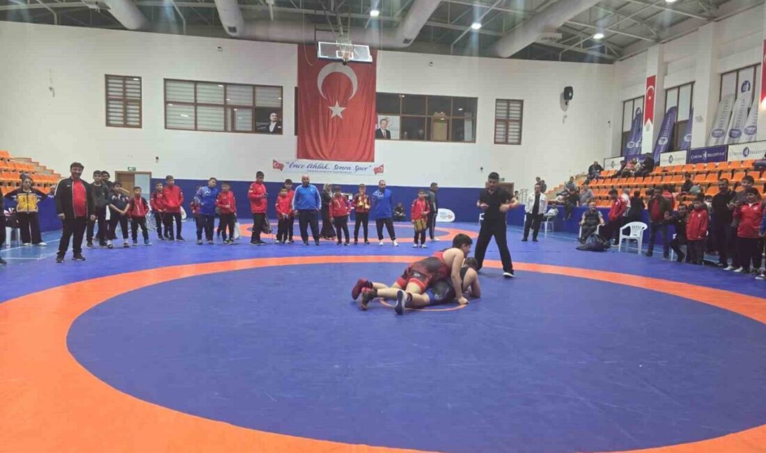 Türk güreşinin efsane isimleri ve Mahmut Atalay ve Tevfik Kış