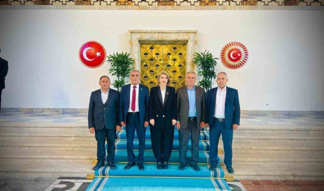 AK Parti Malatya Milletvekili İnanç Siraç Kara Ölmeztoprak, Türkiye Büyük