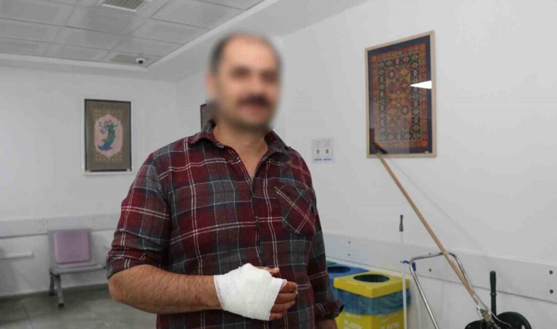 Erzurum’un Oltu ilçesinde acemi kasaplar acil serviste yoğunluk oluşturdu. Kurban