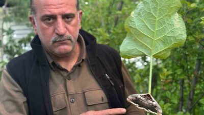 Erzurum’un Oltu ilçesinde vatandaşın bahçesinde gördüğü dev kelebek şaşkınlık ve