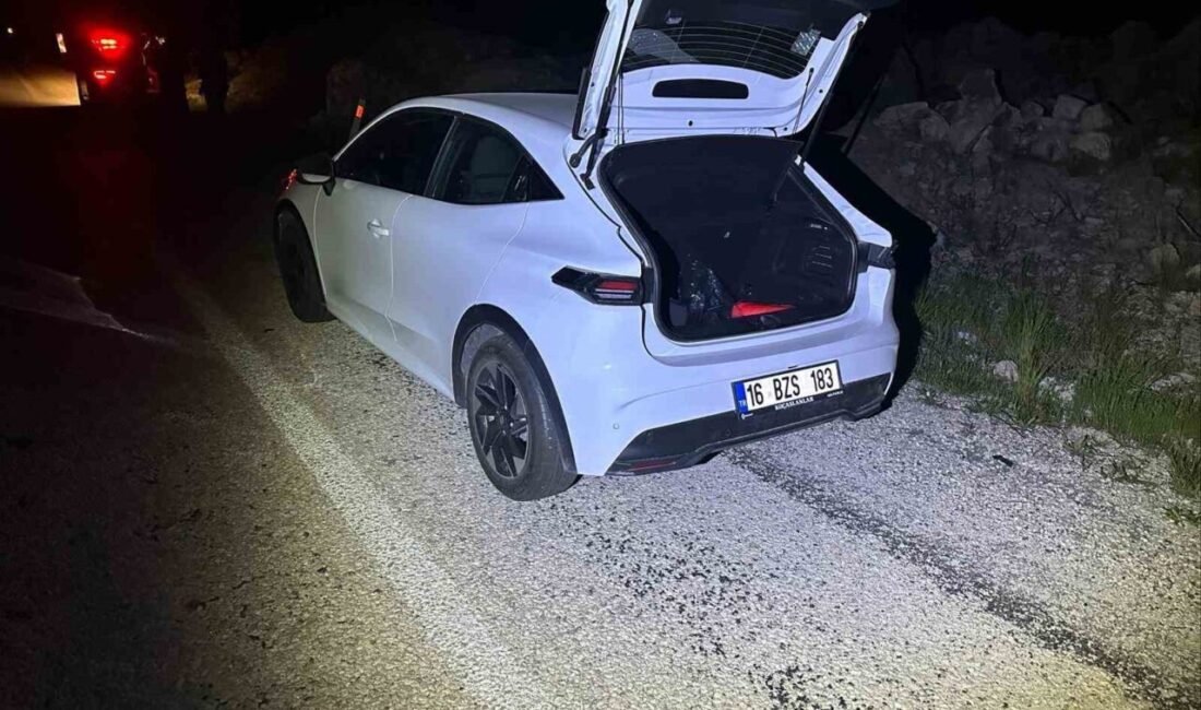 Bilecik’te seyir halinde önüne aniden çıkan köpeğe çarpan araçta maddi