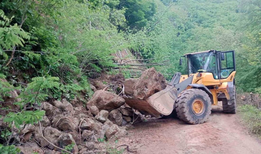 Ordu’da son günlerde etkisini artıran yağışlar nedeniyle 24 saatte 214