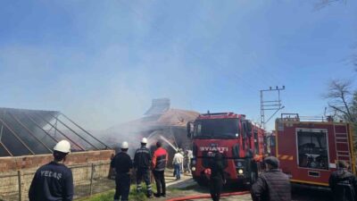 Ordu’nun Kumru ilçesinde 3 katlı bir binada çıkan yangın, itfaiye
