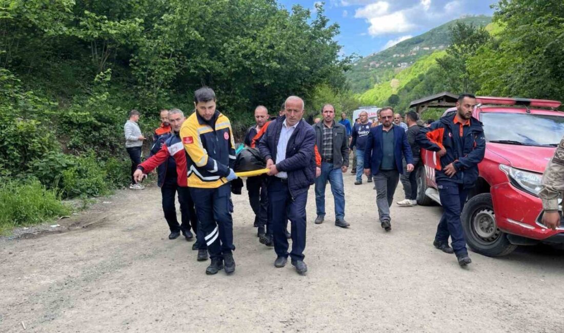 Ordu’nun Çaybaşı ilçesinde serinlemek için şelalenin göletine giren 15 yaşındaki