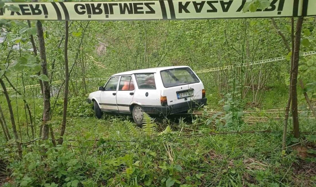 Ordu’nun Kabadüz ilçesinde kontrolden çıkan otomobilin fındık bahçesine girmesi sonucu