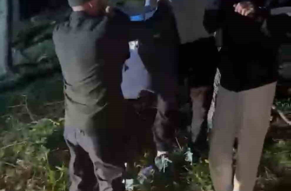 Karabük’ün Safranbolu ilçesinde ormanlık alanda doğa gezisine çıkan iki çocuk,