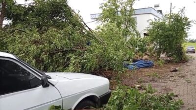 Osmaniye’nin Düziçi ilçesinde etkili olan sağanak yağış ve şiddetli rüzgarın