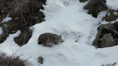 Türkiye Dil ve Edebiyat Derneği (TDED) Erzurum Şubesi Yönetim Kurulu