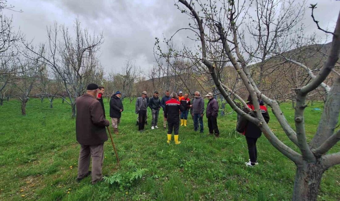 Erzincan İl Tarım ve Orman Müdürlüğü tarafından Otlukbeli ilçesinde üreticilere