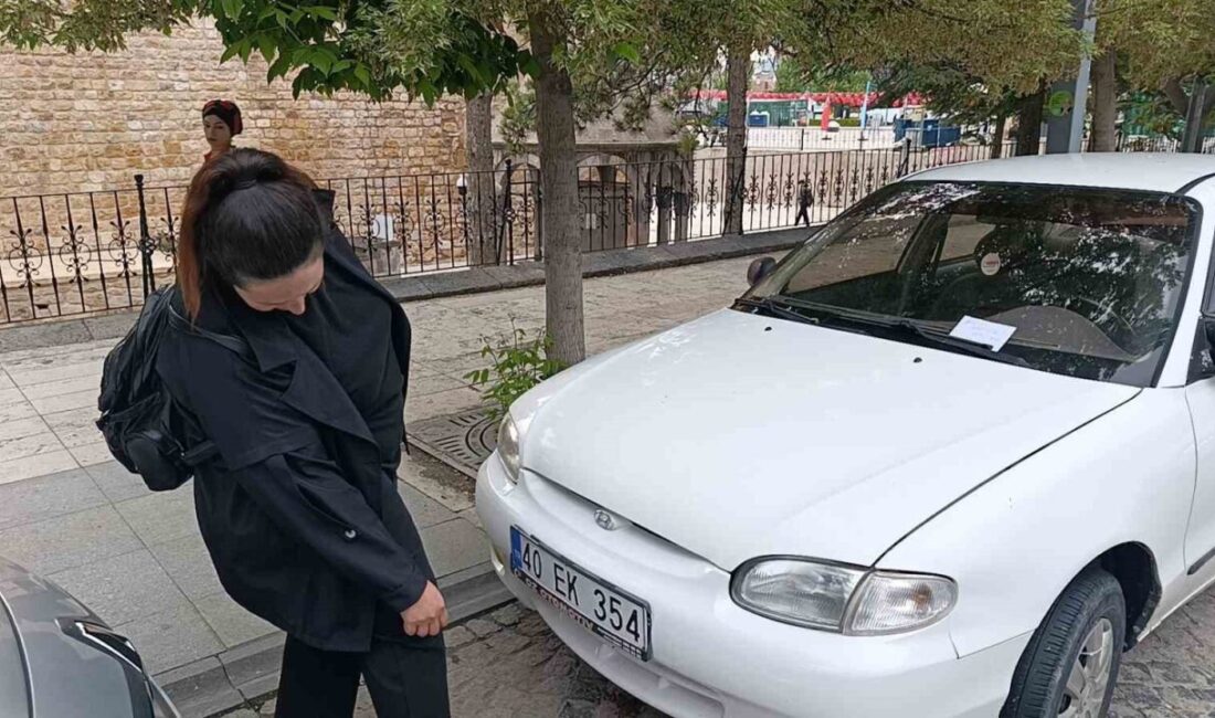 Kırşehir’de park halindeki bir otomobilin kaput kısmına giren yavru kedi,