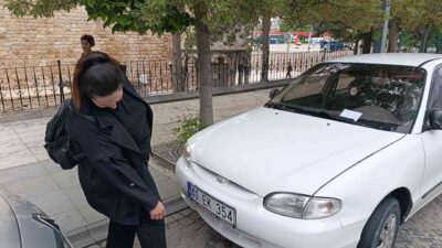Kırşehir’de park halindeki bir otomobilin kaput kısmına giren yavru kedi,