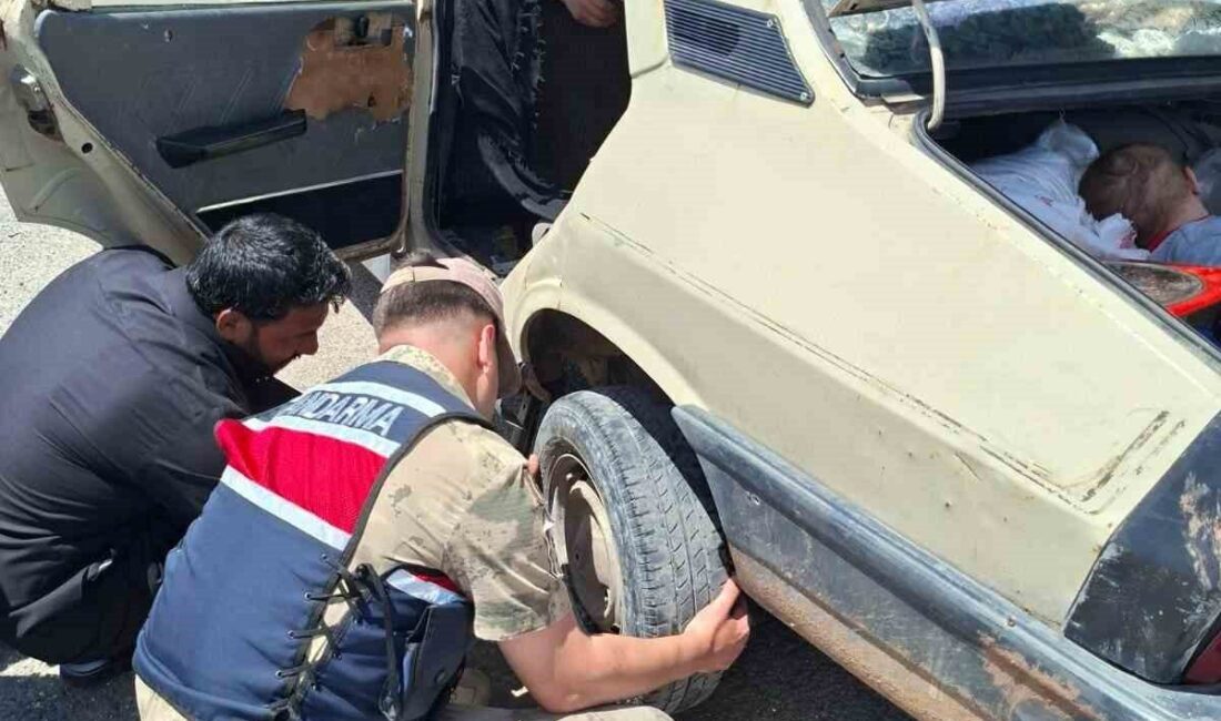 Şanlıurfa’da devriye görevi yapan jandarma ekipleri, lastiğinin patladığını fark ettikleri