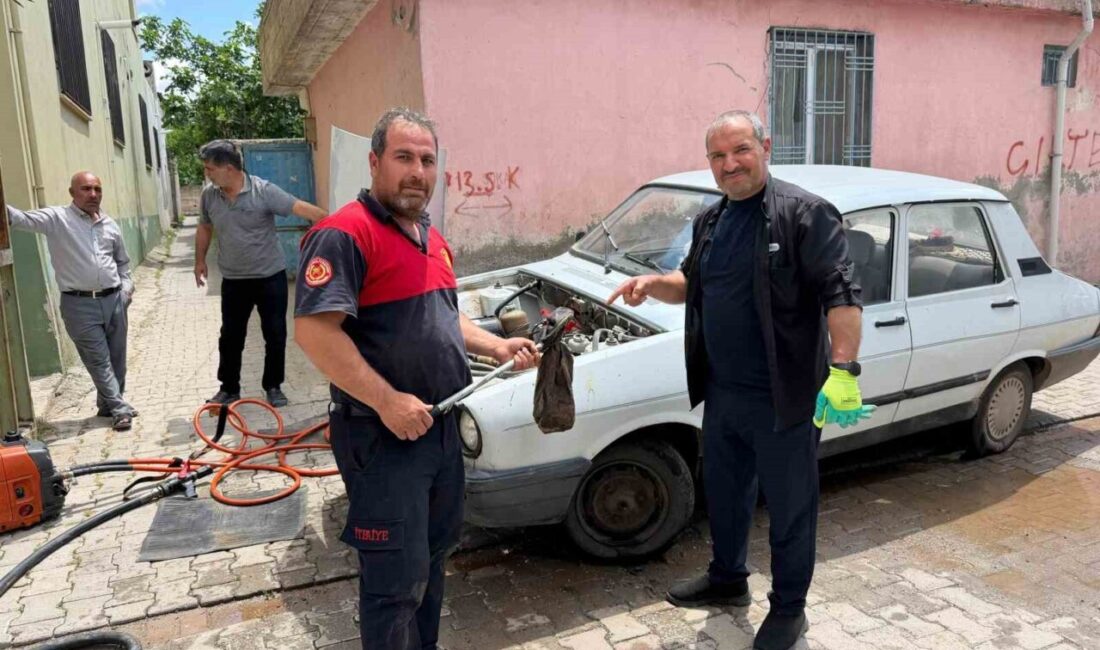 Şanlıurfa’da bir otomobilin motor kısmına giren yılan, itfaiye ekiplerinin uzun
