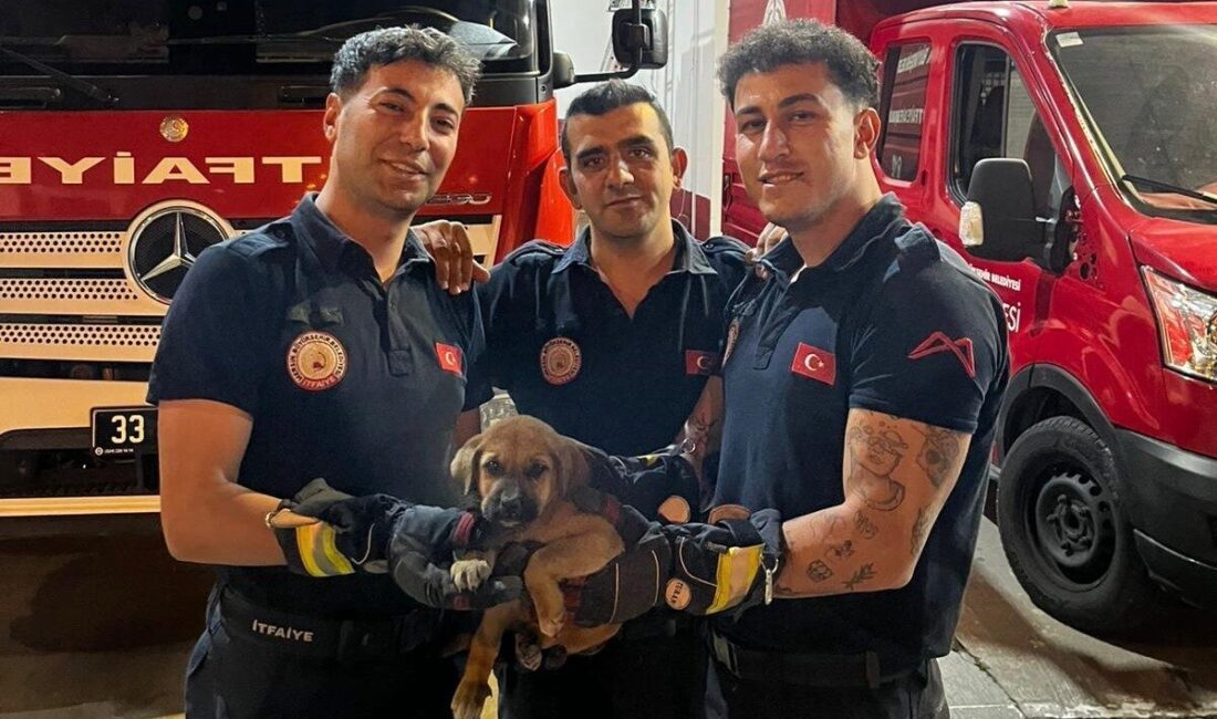 Mersin’de bir otomobilin motor bölümüne sıkışan yavru köpek, itfaiye ekiplerinin